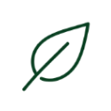 icon leaf 1